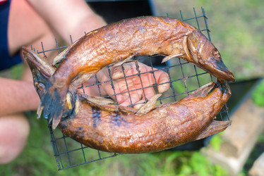 Similar image 21892005