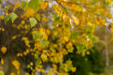 Similar image 21892369