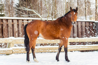 Similar image 21892370