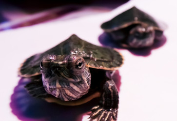 Similar image 21892886