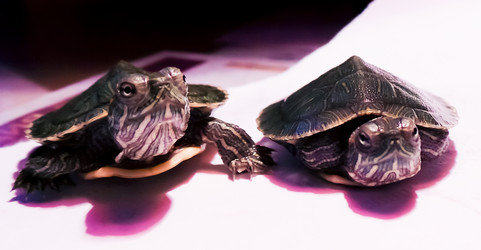 Similar image 21892887