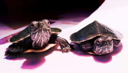 Similar image 21892888