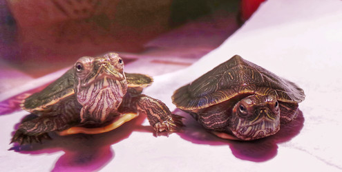 Similar image 21892549