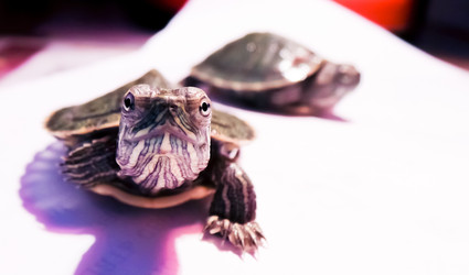 Similar image 21892550