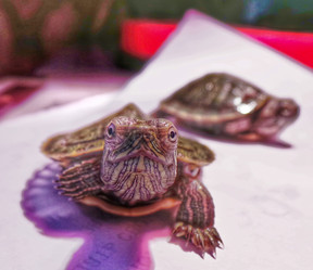 Similar image 21892551