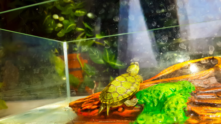 Similar image 21892552