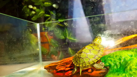 Similar image 21892553