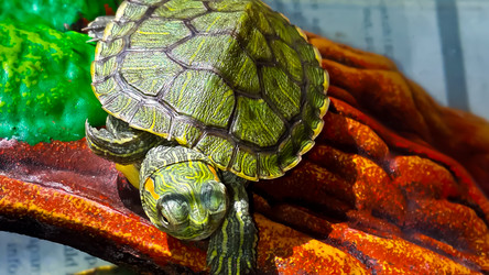 Similar image 21892554