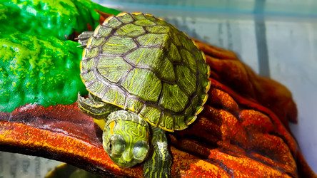 Similar image 21892555