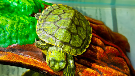 Similar image 21892556