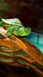 Similar image 21892558