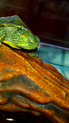 Similar image 21892559