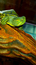 Similar image 21892560