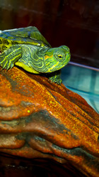 Similar image 21892561