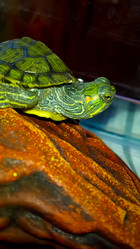 Similar image 21892563