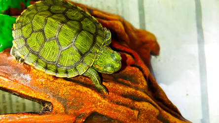 Similar image 21892564