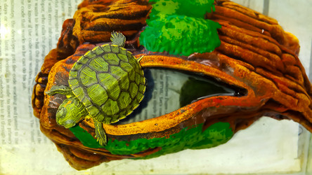 Similar image 21892565