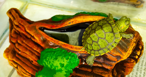 Similar image 21892566