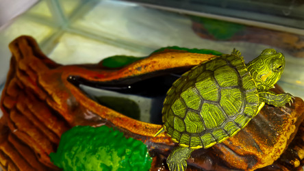 Similar image 21892568