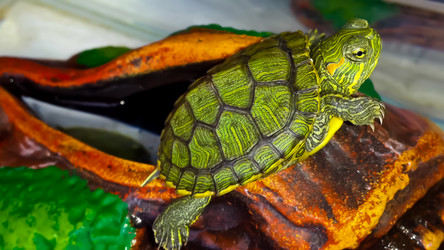 Similar image 21892569