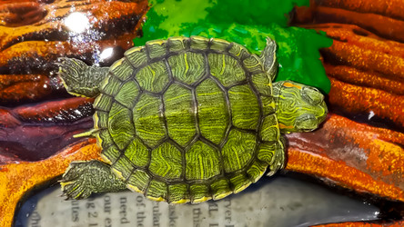 Similar image 21892571