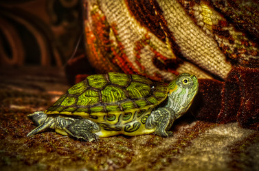 Similar image 21892572