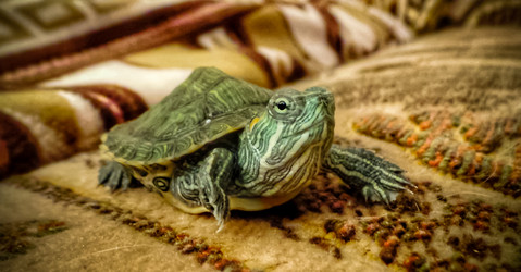 Similar image 21892573