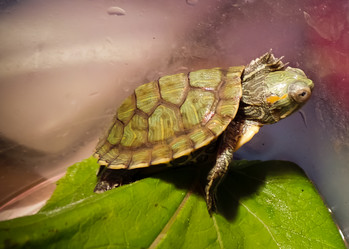 Similar image 21892889