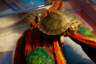 Similar image 21892890