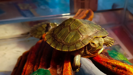 Similar image 21892891