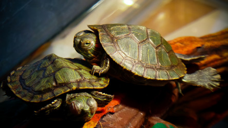 Similar image 21892894