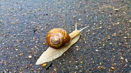 Similar image 21892895