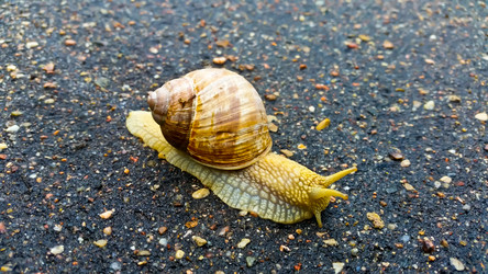 Similar image 21892897