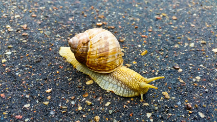 Similar image 21892898