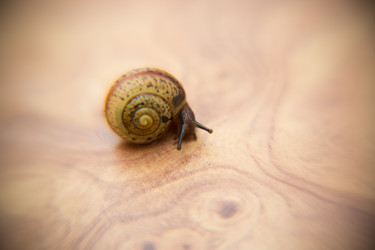 Similar image 21892899