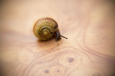 Similar image 21892900