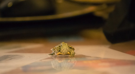 Similar image 21892575