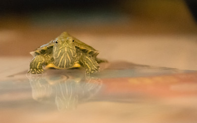 Similar image 21892576