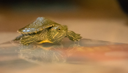 Similar image 21892577