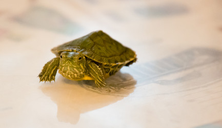 Similar image 21892578