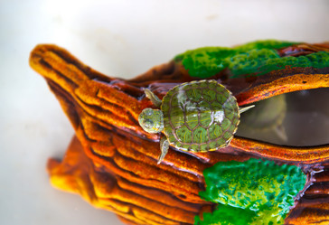 Similar image 21892579