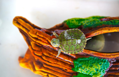 Similar image 21892580