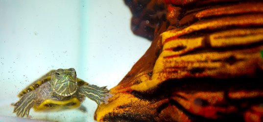 Similar image 21892581