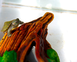 Similar image 21892582