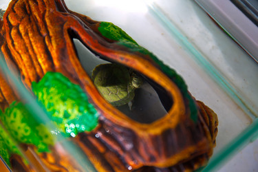 Similar image 21892901