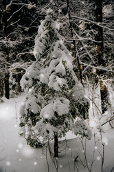 Similar image 21892902