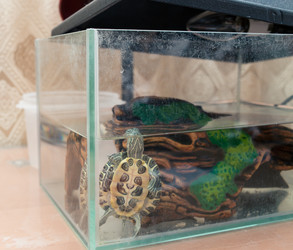 Similar image 21892583