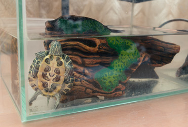 Similar image 21892584