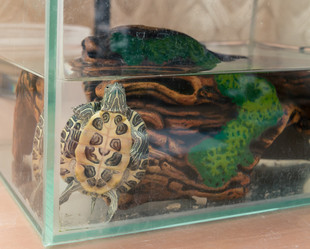 Similar image 21892585