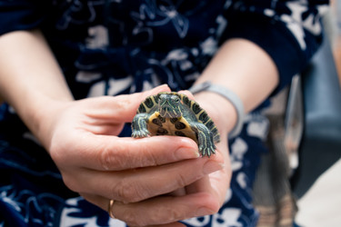 Similar image 21892586